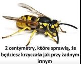 Фото користувача Amelkakarmelka