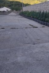 Zdjęcie użytkownika buhariucoste