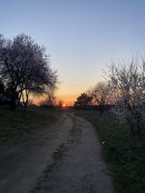 Foto pengguna Olgaol