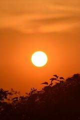 Benutzerfoto gosiugosiu3