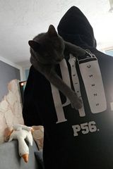 Foto pengguna konstantyniwicz06