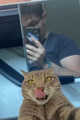 Foto pengguna t8fry9x4nk