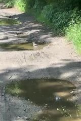 Foto pengguna ImieJestJuz