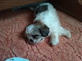 Фотография пользователя lizurejmarcin