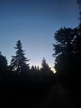 Benutzerfoto anonimek96