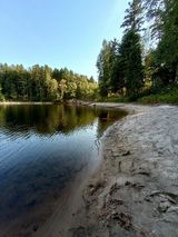 Benutzerfoto miroslawrarata598