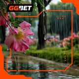 Фотография пользователя gghjghgd67