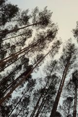 Фотография пользователя nowyjak