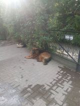 Benutzerfoto mobiedzinski12
