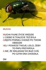 Фотография пользователя DawidMusiol