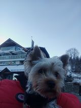 Фотография пользователя ZbyszekZygadlo