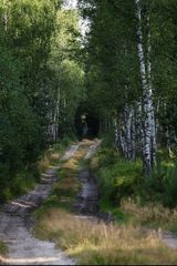 Фотография пользователя Marcin4443