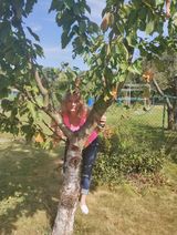 Фотография пользователя annaaleksanyan09