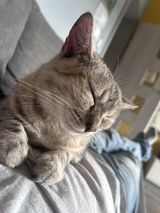 Фотография пользователя DominoW