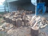 Фотография пользователя kloszjaroslaw