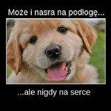 Benutzerfoto LIDZIA41