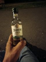 Фотография пользователя Tygrys202
