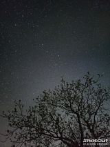 Foto pengguna alienslough