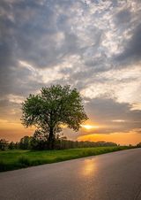 Foto pengguna Dojrzaly35