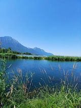 Benutzerfoto ireneuszdominiko86