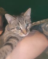 Foto pengguna Lena8803