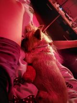 Фотография пользователя Anddzziiaax33