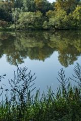 Фотография пользователя Pewal
