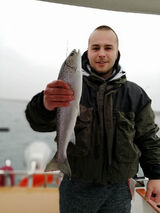 Photos damianjankowski621