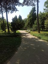 Benutzerfoto BigFun69