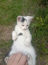Фотография пользователя mateusz141022002