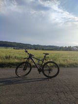 Benutzerfoto MierzwaD