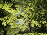 Фотография пользователя DluzszaChwila83