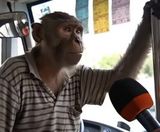 Foto pengguna danielbaryla