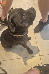 Foto utilizatorului Roberto91wroc