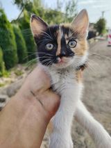 Фотография пользователя u6621455866
