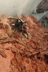 Fotos grzenio77tlenpl