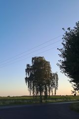 Фотография пользователя Misialka