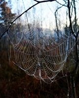 Benutzerfoto punky
