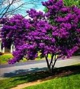 Фотография пользователя kristofer444