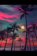 Benutzerfoto WonderFull