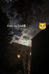 Benutzerfoto ArturCalish