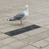 Benutzerfoto barstr7