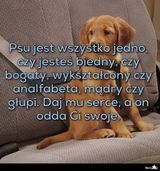 Фотография пользователя Przemomazury