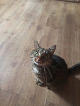 Фото користувача GhostOnMars