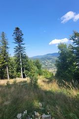 Фотография пользователя bezosprl