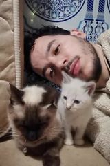 Foto pengguna baraouchhoussam