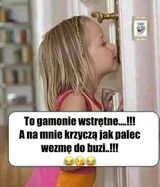 Фотография пользователя BukkakeUudon