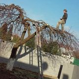 Zdjęcie użytkownika tomczykradoslaw98