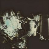 Benutzerfoto bartoszbien1983