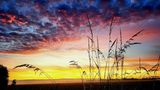 Benutzerfoto alienslough